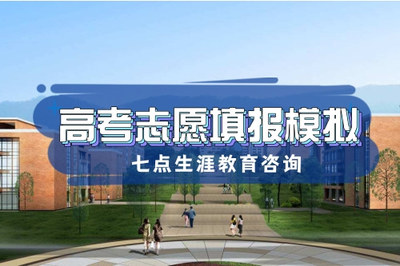 德陽(yáng)志愿填報(bào)模擬與跆拳道技術(shù)咨詢指南
